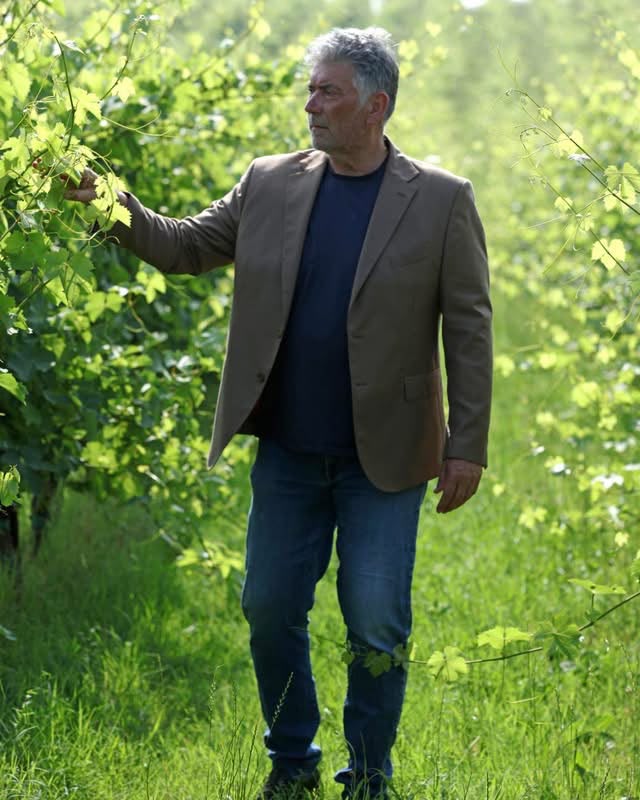 Daniele Malavasi se sklenkou Lugany a se svým psem mezi řadami révy ve vinici v Pozzolengu